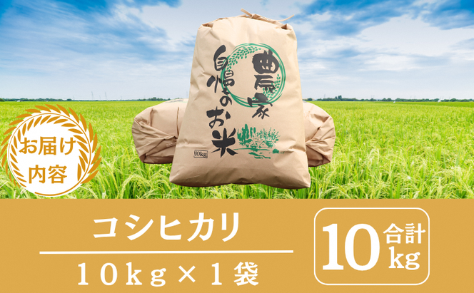 令和7年産 京都丹波産 コシヒカリ 10kg 米 こしひかり 精米 白米 