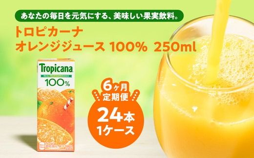 y錧푍szy6zgsJ[i 100 IW 250ml LLX×24{ ւ̔zs