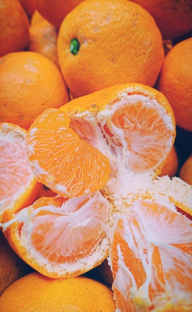 ちっちゃな 有田みかん こつぶみかん 5kg （3S～Sサイズ混合）| 小粒 光センサー選別 温州みかん みかん 柑橘 果物 くだもの フルーツ