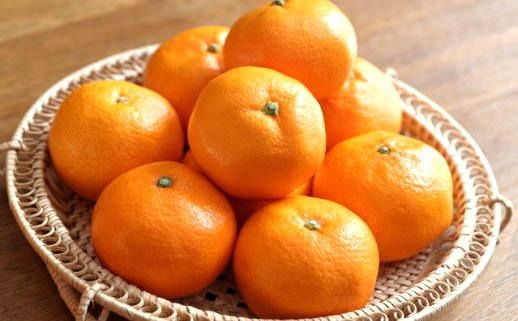 ［秀品］有田のブランドみかん「賢みかん」5kg（サイズおまかせ）［2026年11月中旬頃より順次発送］ BZ010