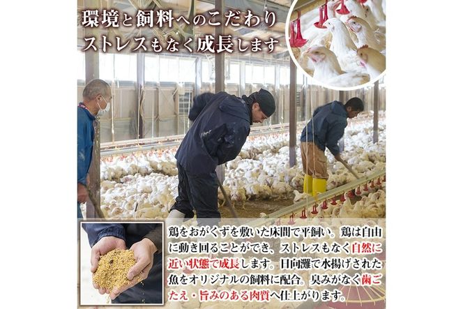 宮崎県産ブランド鶏「夢創鶏」小肉(せせり)(計1.6kg・200g×8P)鶏肉 肉 国産 小分け 冷凍 便利 宮崎県 門川町【C-8】【株式会社 英楽】