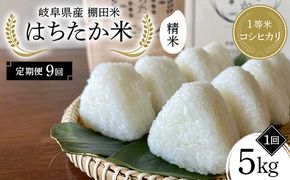 【9回定期便】岐阜県産 棚田米 1等米コシヒカリ はちたか米 精米5kg F4N-2583