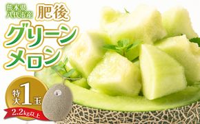 【先行予約】 熊本県八代市産 肥後グリーンメロン 特大1玉 (2.2kg以上) メロン めろん 果物 くだもの フルーツ デザート 旬 青肉 ジューシー 甘い 【2026年6月中旬より順次発送】