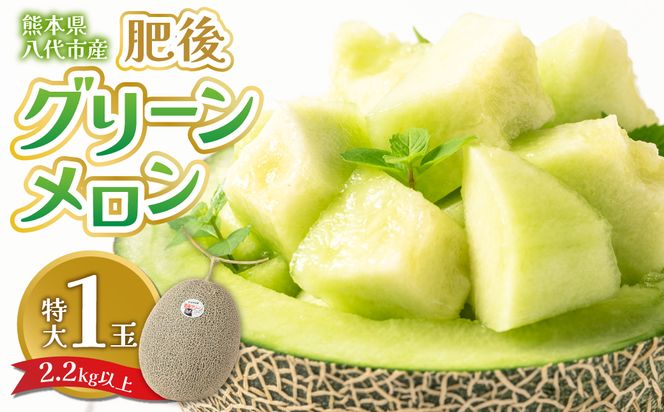 yF{szys\z F{sY O[ 1 (2.2kgȏ)  ߂ ʕ  t[c fU[g {  W[V[ Â y2026N6{菇z