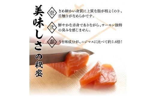 【鮮魚直送】キングサーモン×ニジマス「富士の介」刺身用 スライス