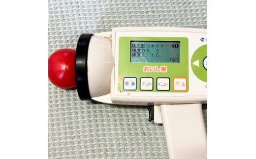 【先行予約】糖度9度以上 フルーツトマト しんちゃんトマト 750ｇ×2箱 合計約1.5kｇ (小～大玉サイズ　10～20個×2箱) 〈2027年1月〜発送〉/ トマト 高糖度 高知県産 ふるーつとまと 甘い 美味しい