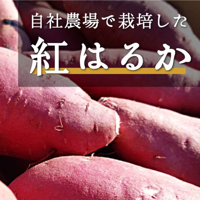 DK-1　【芋屋久兵衛】茨城県産紅はるか干しいも150g×6セットギフト箱入り