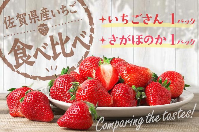 【2027年1月中旬より発送開始】いちご食べ比べ 2パック(いちごさん・さがほのか)【果物 くだもの フルーツ イチゴ 苺 佐賀】(H116135)