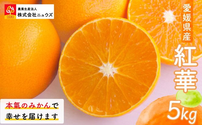 【先行予約】紅華（生果）約5kg （2026年12月上旬より順次発送） IKTF015
