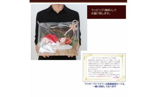 大きなバラのナチュレ レッド