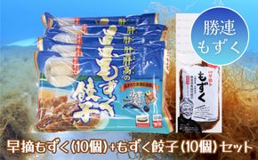 早摘みもずく（10袋）＆もずく餃子（12個入×10袋）セット【勝連漁業協同組合】