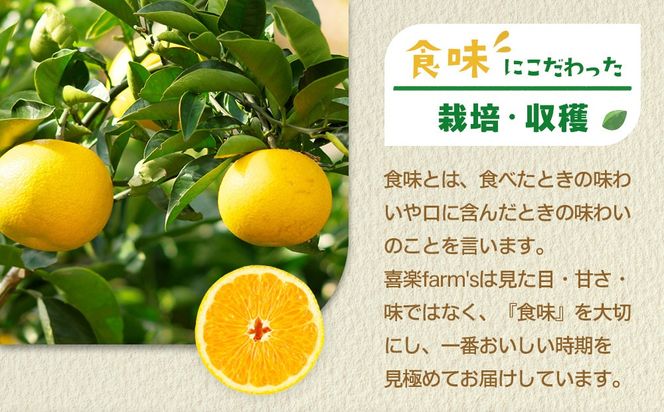 【産地直送】☆八朔☆サイズ混載（M～２L）☆9kg 	AL08