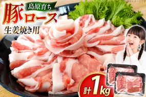 AK030 豚ロース 生姜焼き用 500g 2パック 計1kg [ 豚肉 ぶた肉 ロース 小分け 肉 お肉 生姜焼き しょうが焼き BBQ バーベキュー 焼肉 アウトドア 1キロ スターゼン 長崎県 島原市 ]