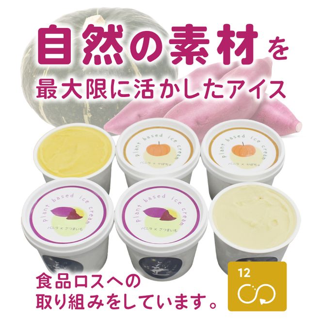 プラントベースアイスクリームセット　for humans and dogs さつまいも味・かぼちゃ味｜茨城県 行方市 ふるさと納税 アイス お菓子 植物性ミルク 豆乳 スイーツ デザート（HZ-2）