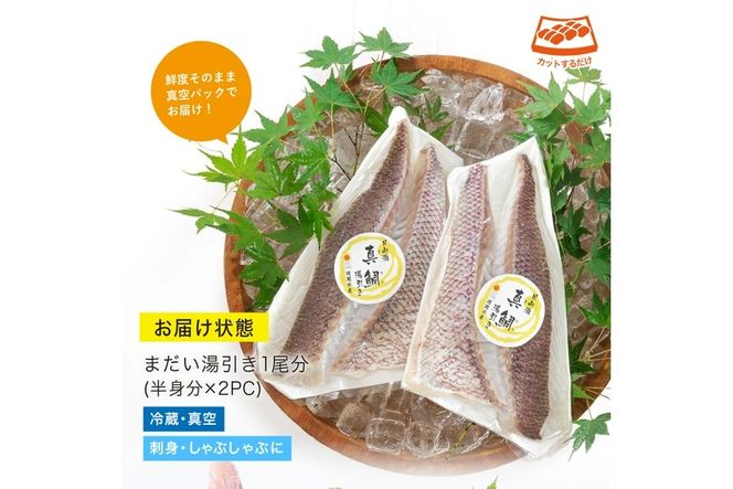 y{茧쒬zykCEzszVNIyI^ⓒ̂hg(1F500`600g)hg Ԃ  CN ܂ }_C ^pbNyUZ-06zy֐Yz