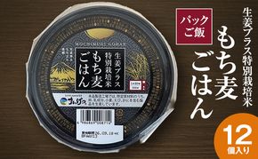 パックご飯 生姜プラス特別栽培米 もち麦ごはん 12個入り 静岡県 袋井市【離島配送不可】