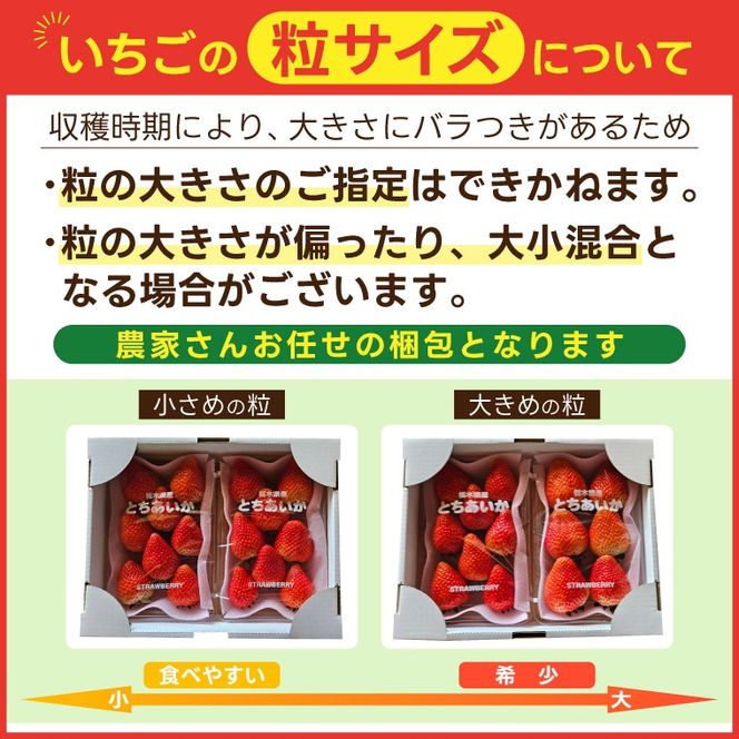 【合計20～40粒入り】いちご とちあいか 600g以上 (300g以上×2パック)｜栃木県 益子町 ふるさと納税 鈴木農園 L 2L 3L ご家庭用 家族用 食べやすい 一口サイズ 粒たっぷり 大満足 いちご イチゴ 苺 果物 フルーツ とちあいか 人気 600g以上 1パックあたり10～20粒入り （DJ003）