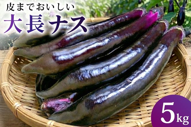 BF004【令和8年度出荷分】皮までおいしい！島原 大長ナス 5kg [ なす ナス 茄子 なすび 野菜 長ナス 天ぷら 焼き茄子 味噌汁 産地直送 長崎県 島原市 ]