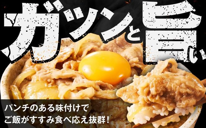 G4516 スタミナ丼の具 1.5kg（150g×10パック）湯煎 簡単調理