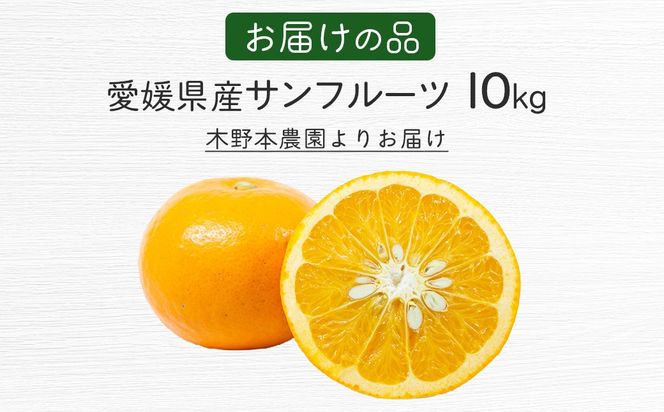 【栽培期間中農薬不使用】【先行受付】【数量限定】農園直送！愛媛県産サンフルーツ 10kg （2026年4月上旬頃より順次発送） IKTG012