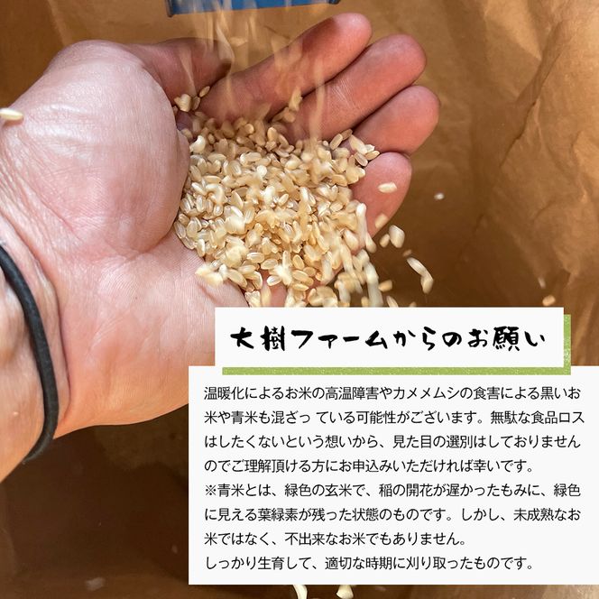 自然栽培もち米　はりまもち（白米）　3kg