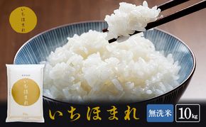 無洗米 令和7年産 いちほまれ 10kg 福井 高級ブランド米 お米 おこめ 米 コメ こめ 白米 精米 ご飯 ごはん 福井県