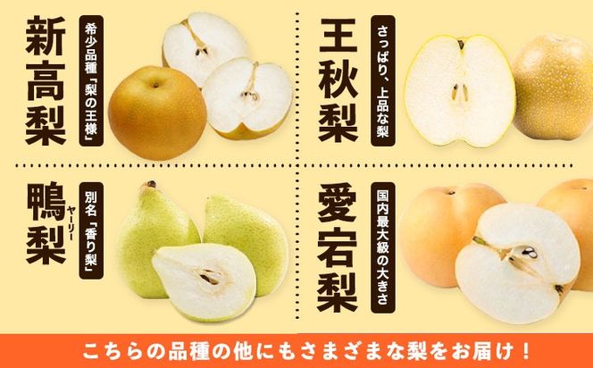 【先行予約】秀品 岡山県産 旬の 梨 約4kg 3-10玉前後 梨 秀品 新高 愛宕 スイーツ フルーツ デザート 旬 岡山県 笠岡市《9月上旬-1月末頃に出荷予定》---kasaoka_zsy_48_40---