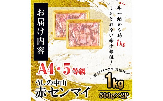 うしの中山 A4・A5等級黒毛和牛 赤センマイ（ギアラ）計1kg（500g×2P）a5-345