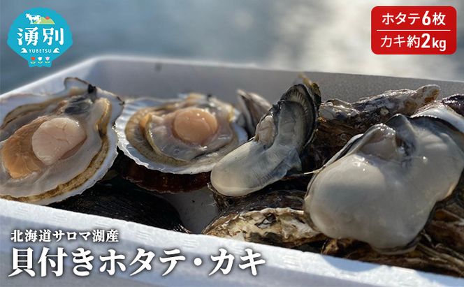 先行予約 北海道サロマ湖産　貝付きホタテ6枚・カキ約2kg 魚貝類 帆立 ほたて 魚介類 