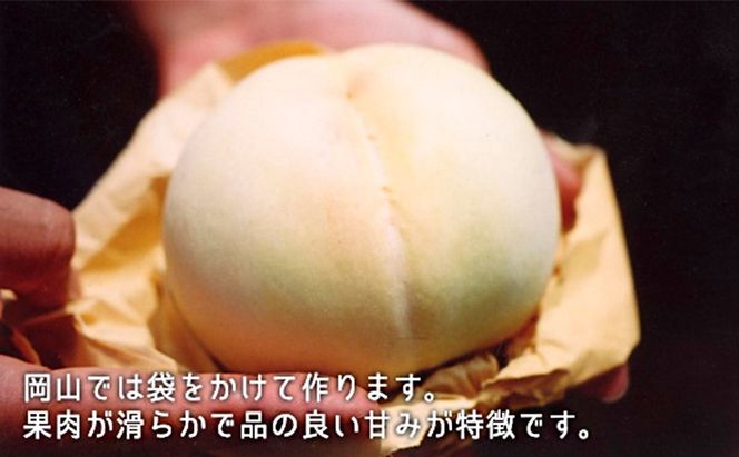 桃 ぶどう 2026年 白桃 晩生種 2玉 シャイン マスカット 1房 合計約1.0kg もも 葡萄 岡山県産 国産 フルーツ 果物 ギフト [№5735-1902]