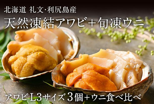 礼文島産 凍結島アワビLサイズ3個 旬凍うに食べ比べセット 魚貝類 瞬間冷凍 旬の味 獲れたての味 磯の香り キタムラサキウニ バフンウニ 贈り物 