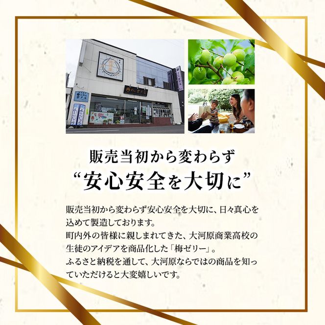 大河原の梅と清水のゼリー うめ果りり 10個入り 10,000円台おすすめ返礼品 お菓子 スイーツ 和スイーツ 梅の風味 梅ゼリー おやつ 食後 ひんやりスイーツ 涼 夏 さっぱり やさしい甘味 酸味 