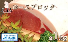 延岡よっとん ロースブロック約1kg N003-YA966