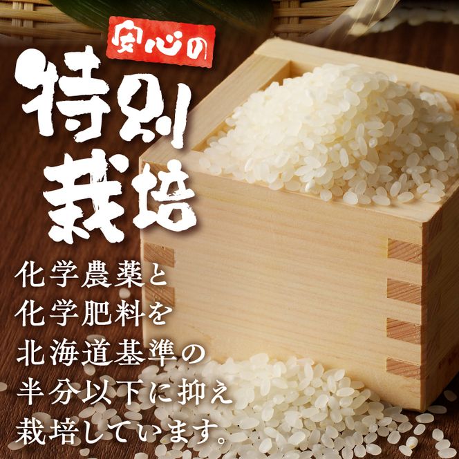 《令和7年産》特別栽培米ななつぼし 10kg | 16年連続特A ブランド米 白米 精米 米 お米 こめ 減農薬 単一原料米 ご飯 贈答 ギフト 北海道米 北海道 滝川市