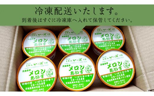 茨城県産メロンあいす 12個 アイス デザート めろん 贈り物 カップ 冷凍 [AE021us]
