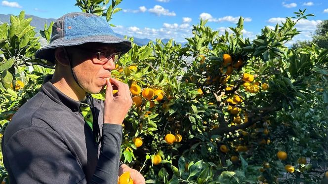 熟成　有田みかん 3kg（約30個）  EN001