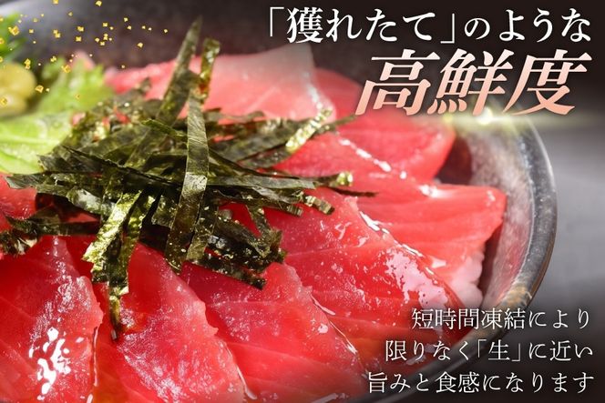 マグロ 天然 メバチマグロ 切落し 100g×10袋 計1kg 気仙沼水揚げ [熊栄産業 宮城県 気仙沼市 20564427] まぐろ マグロ 鮪 魚 海鮮 魚介類 魚介 切り落とし メバチ 小分け 冷凍 便利 刺身 ネギトロ【CF02】