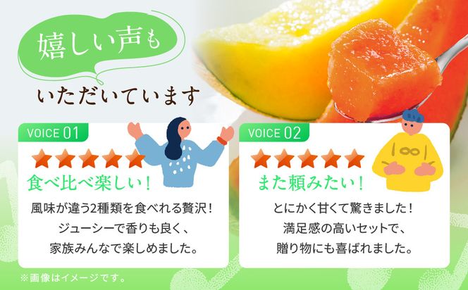 【先行予約】956.【ふるさと納税】青肉メロンディーバと赤肉メロンプリモレッドのセット ※日本全国配送可能  2026年10月上旬頃～11月上旬頃に順次発送予定 313726_BQ012