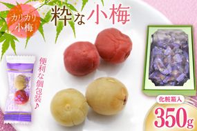 【やばいだろ】粋な小梅 350g [山梨農産食品 山梨県 韮崎市 20742087] 梅干し 梅干 うめぼし 梅 小粒 小梅 カリカリ梅 国産 個包装