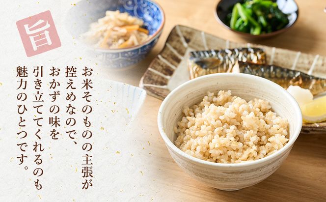 愛知県産 あいちのかおり 玄米 5kg お米 玄米 ライス ご飯 おにぎり お弁当 和食