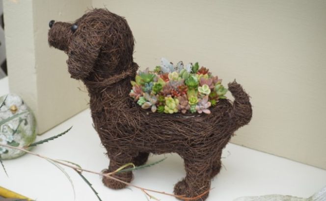 まるで多肉の宝石箱♪チビわんこの多肉植物 寄せ植え（1個） インテリア ガーデニング 玄関 置物 犬 イヌ 犬の置物 