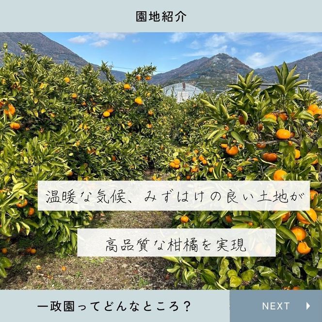 【ふるさと納税】【先行予約】 八朔 4.5kg（箱込み5kg） 家庭用 サイズ混合 柑橘 フルーツ はっさく 産地直送 お取り寄せ 送料無料 FA10