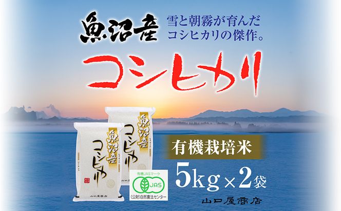 【厳選☆十日町育ち】“有機栽培米” 魚沼産コシヒカリ 5kg×2袋 お米 