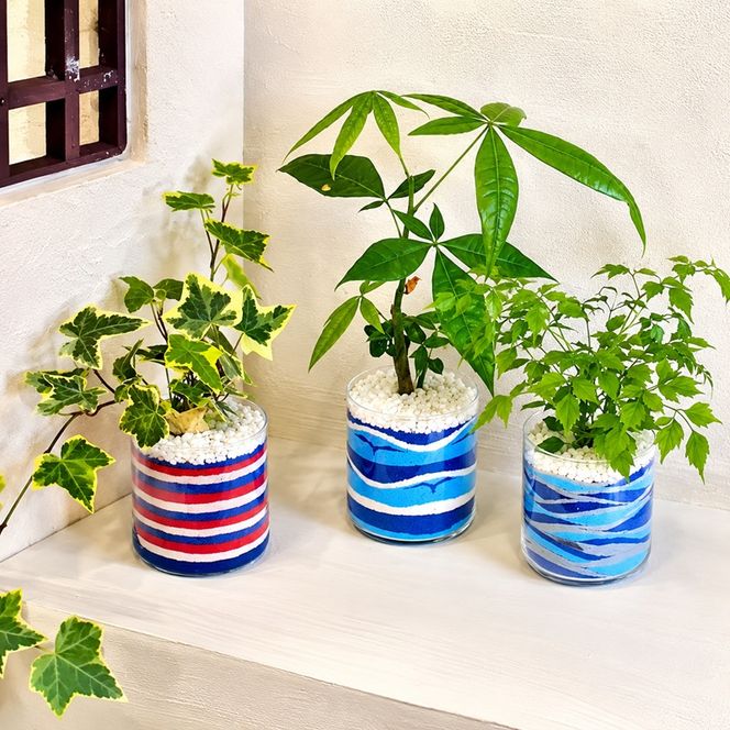 カラーサンド 3個 セット ブルー系 植物 インテリア ガーデン 