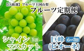【JA厳選】フルーツ王国やまなし満喫定期便　巨峰（約２kg・4～6房）＆シャインマスカット(約1kg・2房)定期便　ぶどう ブドウ 葡萄 果物 くだもの フルーツ 山梨 やまなし 富士川町