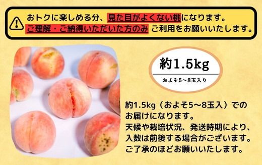 ◆2025年夏発送◆＜家庭用　約1.5kg×2回＞ ｜ 先行予約 予約 数量限定 桃 もも モモ 果物 くだもの フルーツ 詰め合わせ 福島 ふくしま　※離島への配送不可　※2025年7月上旬～8月中旬頃に順次発送予定