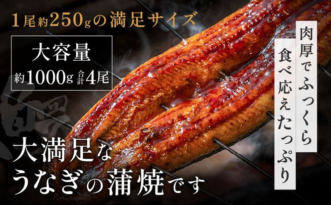 うなぎ蒲焼き4尾セット(約250g×4尾セット)【魚住商店】_HA1494