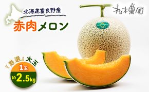 【2026年6月下旬より発送】北海道 富良野 赤肉 メロン『厳選』大玉 1玉 約2.5kg (松本農園) メロン フルーツ 果物 新鮮 甘い 贈り物 ギフト 道産 ジューシー おやつ ふらの ブランド 夏 