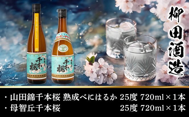 【柳田酒造】山田錦千本桜・母智丘千本桜(25度)720ml×2本 ≪みやこんじょ特急便≫_AA-0751_99