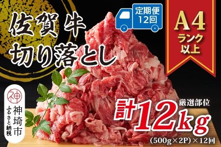 【12か月定期便】艶さし！【A4～A5】佐賀牛切り落とし 1kg(500g×2P)×12回【肉 牛肉 ブランド牛 黒毛和牛 ふるさと納税】(H112180)